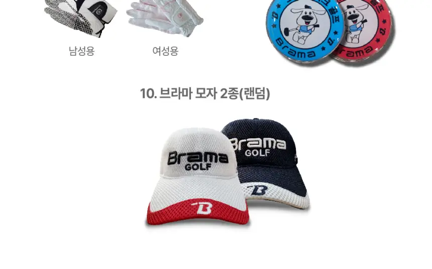 브라마 챌린지 CP-06 플러스 상품 상세 이미지 8